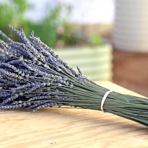 May include: A bundle of dried lavender with purple flower spikes and green stems, tied together with a white rubber band. The lavender rests on a light brown wooden surface, with a blurred green background.