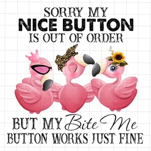 Mi dispiace, il mio pulsante "Bello" è fuori uso, ma il mio pulsante "Mordimi" funziona benissimo. Flamingo PNG, Detto divertente PNG, Collega divertente, Citazione di sublimazione