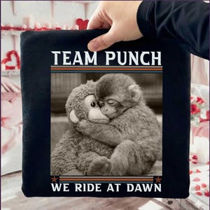 May include: A black square pillow with the text "TEAM PUNCH" and "WE RIDE AT DAWN" in white. The image features a grayscale photo of two monkeys hugging. The pillow is held by a person.