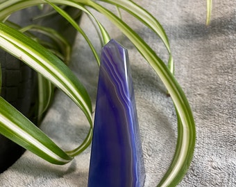 May include: A polished, blue and gray agate obelisk stands upright against a soft gray background, with green and white striped plant leaves in the background. The obelisk has a tapered shape and displays natural banding.