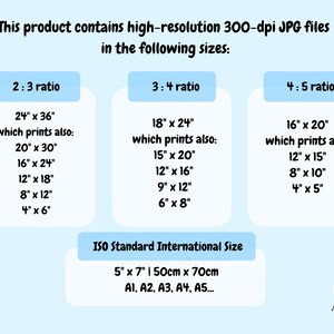 May include: A chart showing the different sizes of high-resolution 300-dpi JPG files available in 2:3, 3:4, and 4:5 ratios. The chart also includes the ISO standard international sizes for prints, which are 5" x 7" or 50cm x 70cm, and includes sizes A1, A2, A3, A4, and A5.