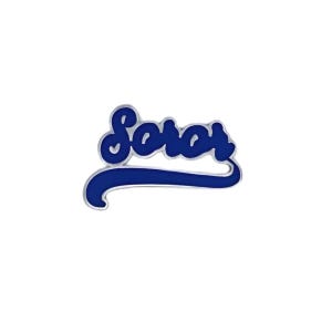 May include: Blue and silver enamel pin with the word "Soar" in a cursive font.