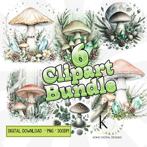 Ensemble de clipart champignons aquarelle, forêt Nature champignon vénéneux clip art ensemble, Cottagecore naturel PNG dessins numériques, cristal céleste PNG