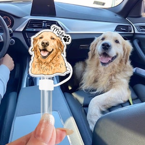 BULK ORDER Custom Photo Straw Topper, Stanley Straw Topper with Photo, Pet Lover Gifts, Gift for Dog Mom, Mothers Day Gift, Dog Memorial