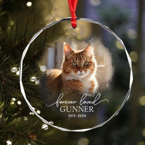 Ornement commémoratif de chat personnalisé : souvenir photo, cadeau de perte d'animal de compagnie