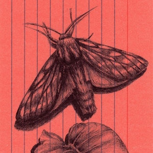 Of or Like
