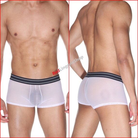 male see through boxers