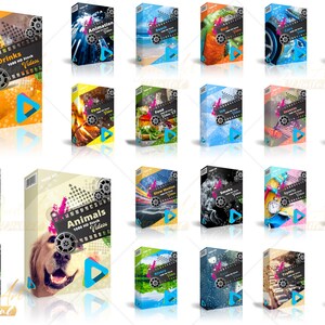 Puede incluir: Una colecci&oacute;n de 18 cajas coloridas con diferentes temas, cada una con un bot&oacute;n de reproducci&oacute;n y el texto "1000 v&iacute;deos HD de stock". Los temas incluyen bebidas, animaci&oacute;n, coches, animales y m&aacute;s.
