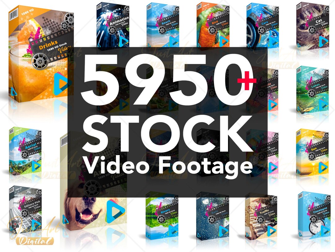 Professional Stock Video Footage Collection | Premium Clips for Dynamic ...