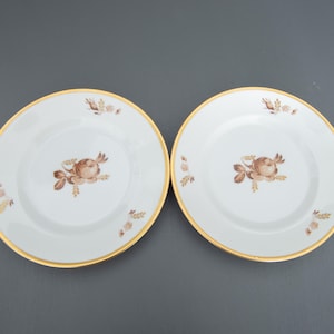 Vintage Royal Copenhagen Porcelain Cake Plates: Brown Rose, Scandinavian Design