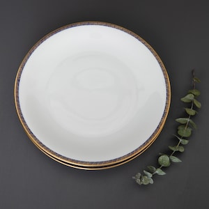 Pratos de jantar de porcelana vintage Hackefors: escandinavo azul e borda dourada (conjunto de 2)