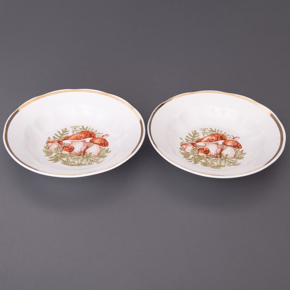 2 platos de risotto de porcini vintage. Platos Hondos de Porcelana con Decoracion Porcini. Vajilla Retro con Estampado de Hongos. Fabrica de porcelana de Riga Etsy Espana