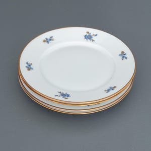 Pratos de bolo de porcelana antigos Hackefors: floral azul, borda dourada - conjunto de 4
