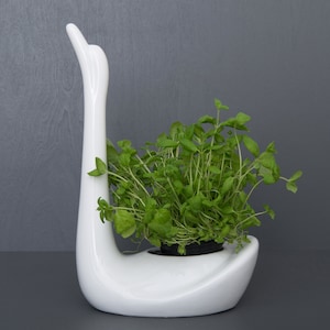 Vintage Pereiras Portugal Swan Planter from 1970s. In Excellent Condition. White Ceramic Planter with Glossy Finish