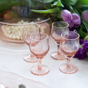 8 Pink Retro Shot Glasses, Shot Glasses for Vodka, Bachelorette Party  Essentials, Cute Hen Night Accessories