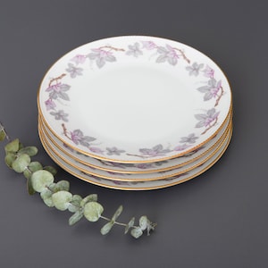 Pratos de porcelana vintage Hackefors (conjunto de 4): pratos de salada suecos em estilo videira, décadas de 1940-50