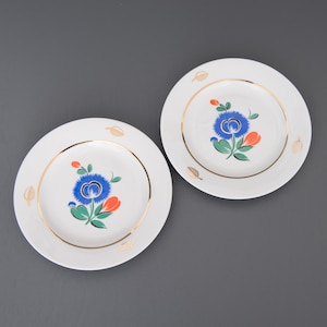 Könnte beinhalten: Zwei weiße Keramikteller mit goldener Verzierung und einem blauen, grünen und orangefarbenen Blumendesign.