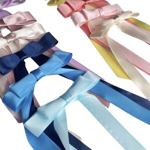 May include: A set of ten satin ribbon bows in various colours, including light blue, pink, yellow, white, and lavender. The bows are tied with long tails and are arranged in a staggered pattern.