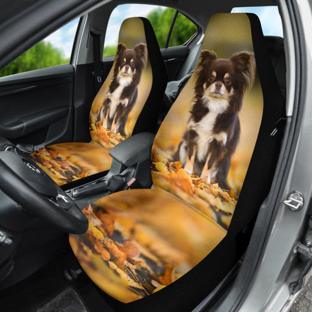 View of Brown Chihuahua Car Seat Covers, Car Accessories, Christmas Gift - Etsy