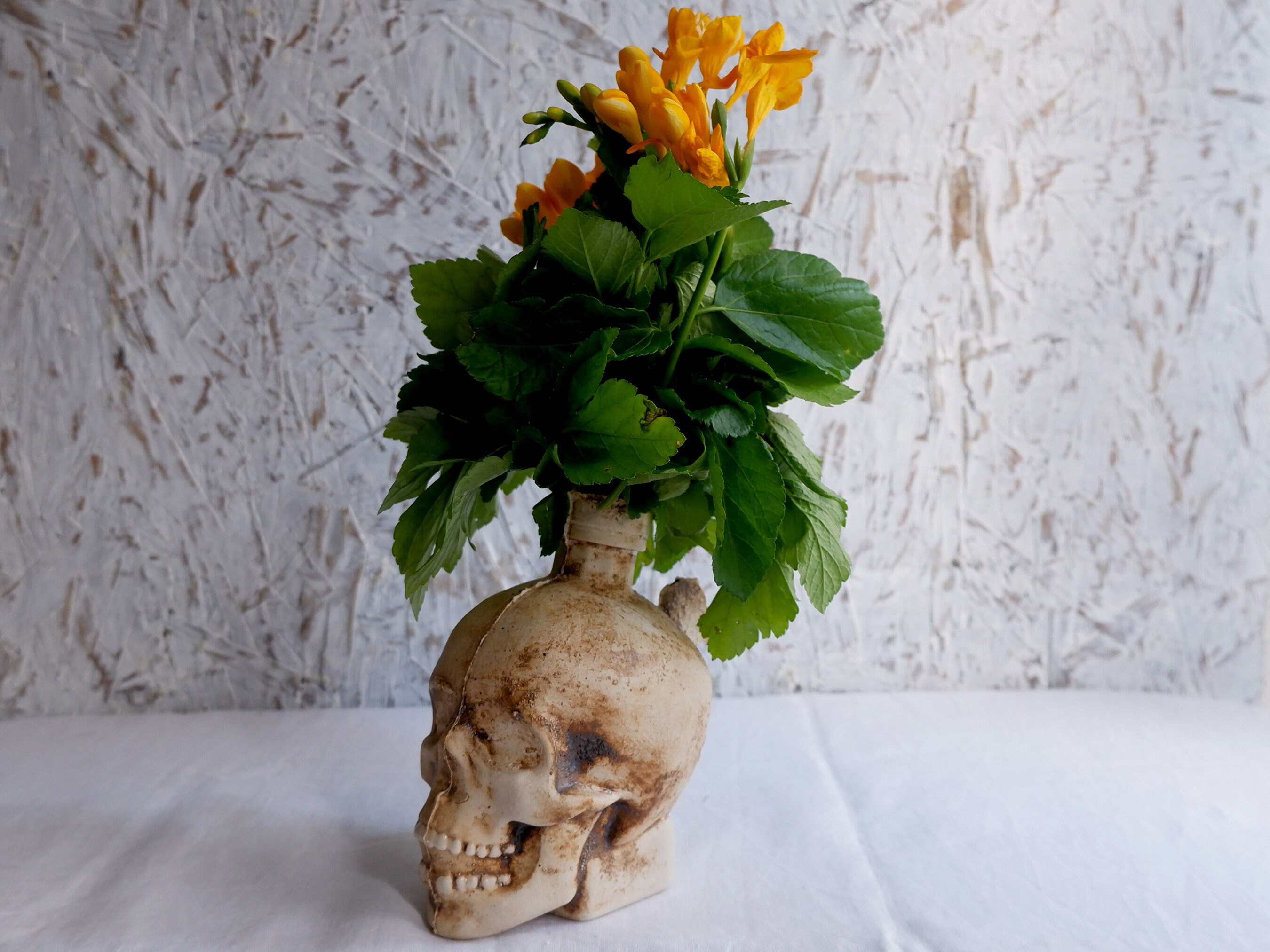 Ceramic Skull Vase, Modern Punk Pottery, Gift Idea for Old School Lover
