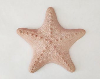 Italian Terraccotta Starfish, Vintage Decorative Ceramic Wall Hanging, Beach House Decoration