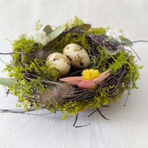 Adorable Bird Nests with Beige Eggs, Easter decoration, Country House Decoration image 6