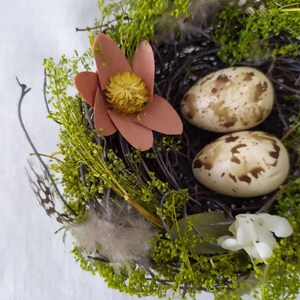 Adorable Bird Nests with Beige Eggs, Easter decoration, Country House Decoration image 3