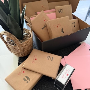 May include: A black cardboard box filled with brown paper-wrapped envelopes numbered 1, 2, 4, 7, 8, and 9, each stamped with TOP SECRET BUDGET BUREAU. Includes pink envelopes, a rectangular self-inking stamp, and a green plant in a woven basket.