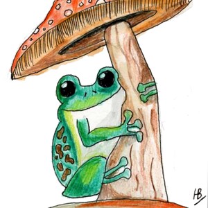 Carte de voeux grenouille et champignon vénéneux
