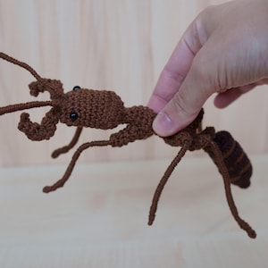 May include: A crocheted brown ant with detailed legs, antennae, and body segments. The handmade insect has small black eyes and is held by a hand. The ant is a unique, handcrafted item.