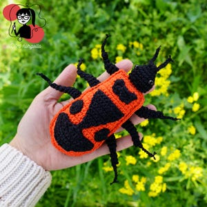 Firebug Crochet Pattern