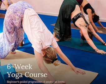 6-Week Yoga Course: Beginner's Guided Program