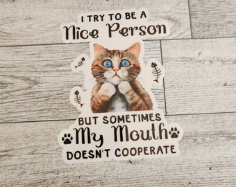 Funny Cat Sticker, I Try to be A Nice Person, Snarky Cat Stickers, Adult Humor, Laptop Sticker, Water Bottle Sticker