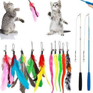 Cat Toys