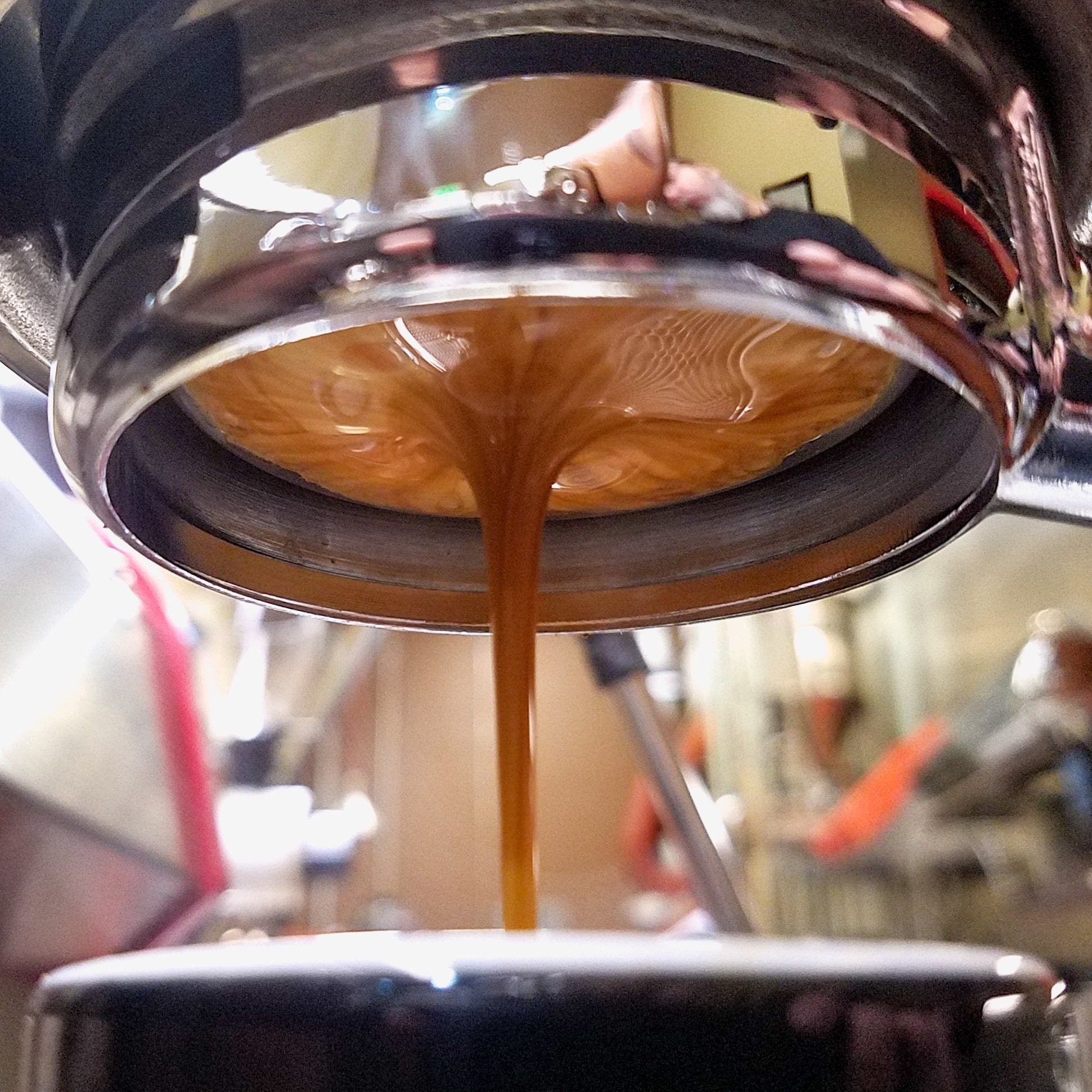 Espresso Roast Coffee Supernova 100 Arabica Organic Fair Trade