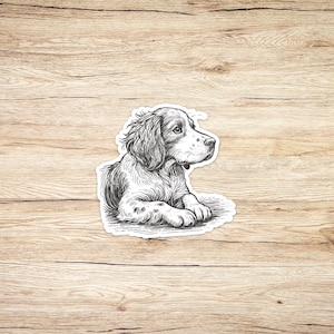 Brittany Spaniel Dog Waterproof Vinyl Sticker and Decal, Pencil Sketch Sticker, Two Sizes Available