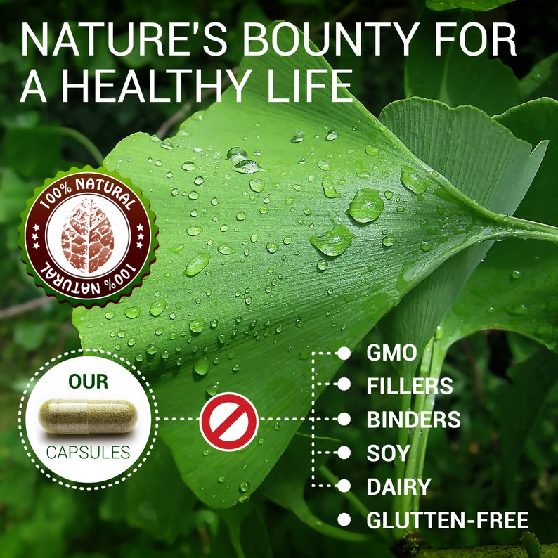 Ginkgo Biloba 100 Capsules Daily Natural Nootropic Supplement to