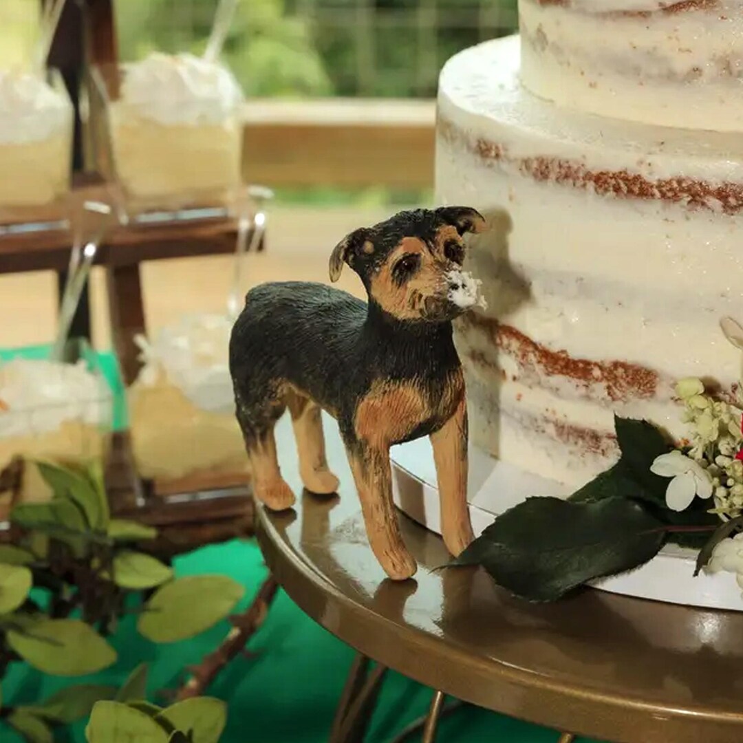Custom Dog Cake Topper: Polymer Clay Pet Sculpture - Etsy