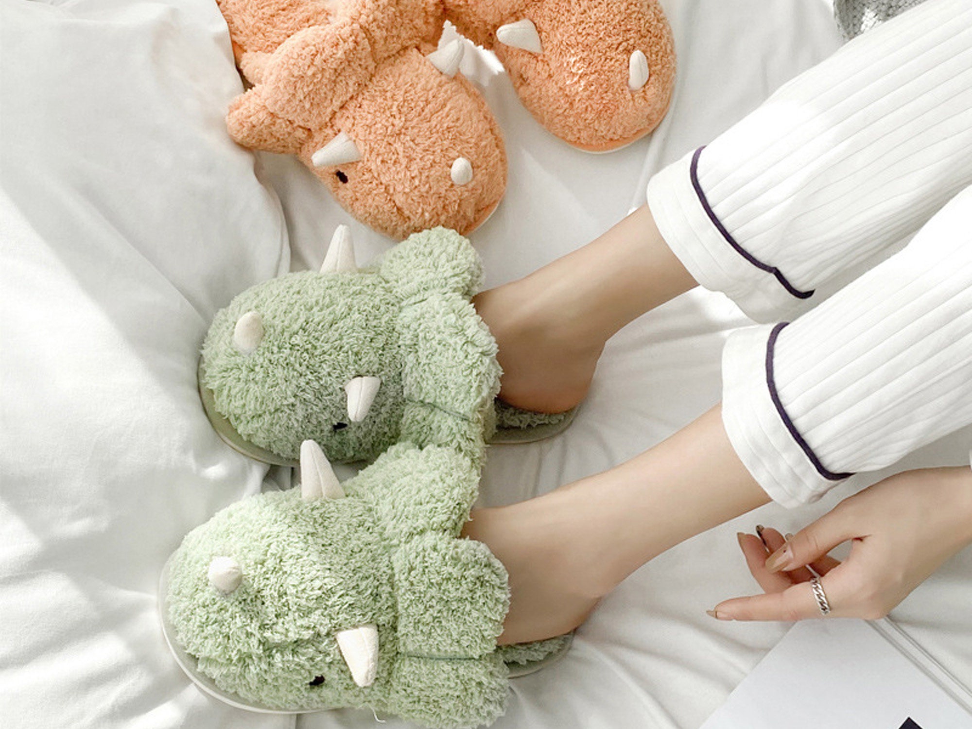 Dinosaur house slippers sales