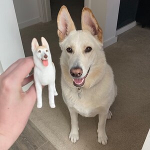 犬の置物、ウェディングケーキ、ペットの誕生日、犬のウェディングケーキトッパー、ペットの記念日ケーキトッパー、ウェディングケーキ、犬の敬礼帽子、ペットケーキトッパー