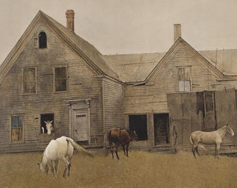 ANDREW WYETH AUTOBIOGRAPHY アンドリュー・ワイエス 作品集