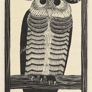 Horned Owl Art Print by Samuel Jessurun de Mesquita