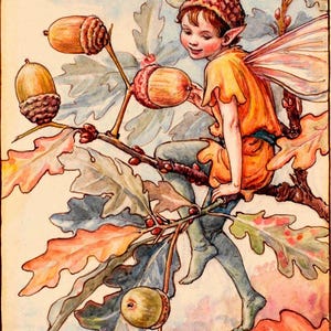 May include: A fairy with brown hair and wings sits on a branch of an oak tree. The fairy is wearing a yellow and orange outfit and a brown acorn hat. The tree has green and brown leaves and acorns.