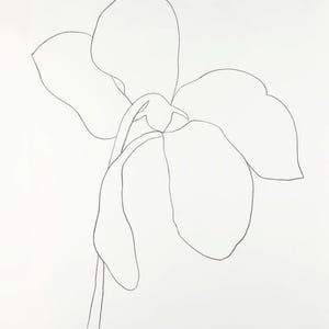 Ellsworth Kelly Plant Drawing - Etsy