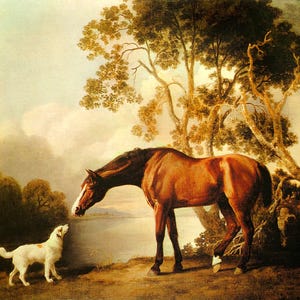 George Stubbs Print: Bay Horse and White Dog Fine Art