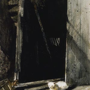 May include: A white cat sits on a wooden floor in front of an open doorway. The doorway is dark and there is a broom leaning against the wall. The floor is made of wood planks and there is a bucket in the foreground.