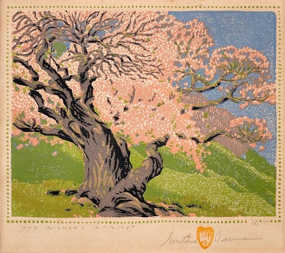 マンゴーウッド　リーフアート The Bishop's Apricot – Gustave Baumann | Vintage Southwestern