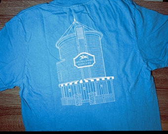 Saratoga Springs Resort Inspired T-Shirt | Disney Resort Hotel & DVC Inspired