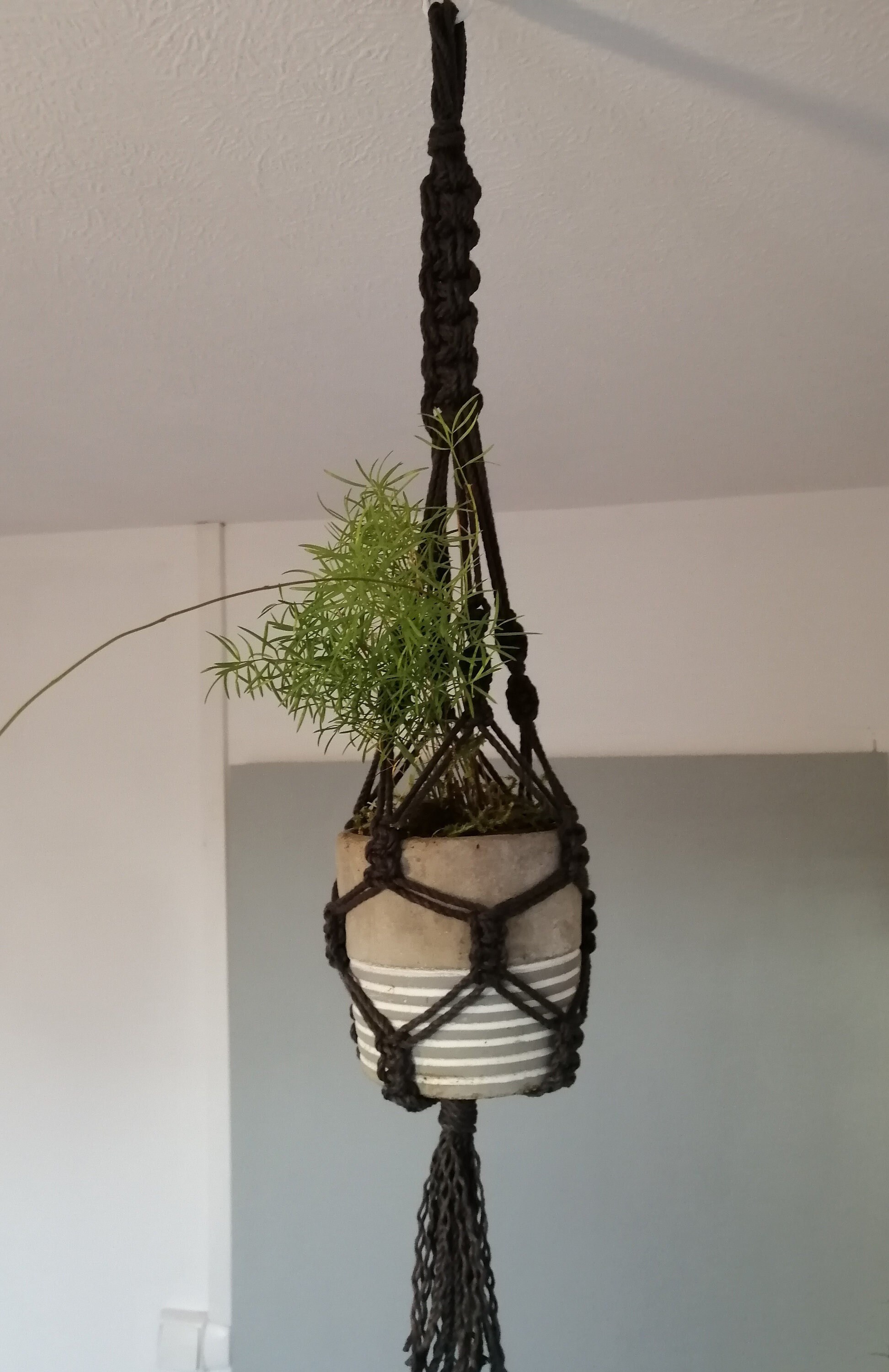 Petite Suspension en Macramé