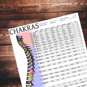 Chakras of the spine